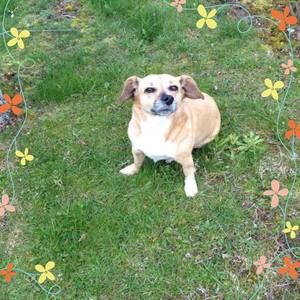 Meet your Posher, Ann